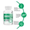 DHEA 25 mg | 60 Cápsulas | Equilibrio Hormonal y