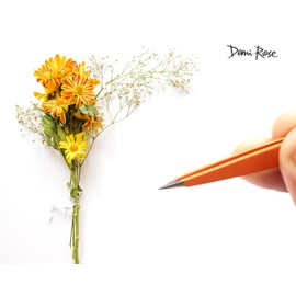 DEMI ROSE Pointed Tweezers Precision - 100% Stainless Steel Ingrown Hair Tweezers for Women Facial Hair - Sharp Fine Point Tip Tweezers for Splinter Removal (Pumpkin Orange)