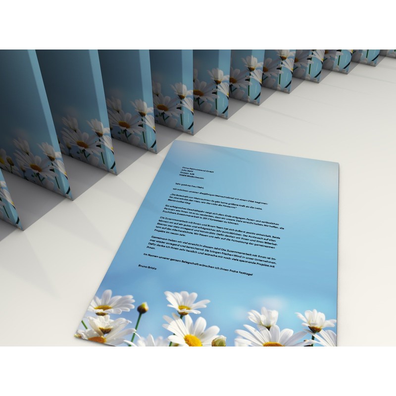 Design Paper Daisy 100 Sheets A4