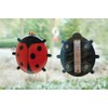 Fallen Fruits Ladybird Window Thermometer