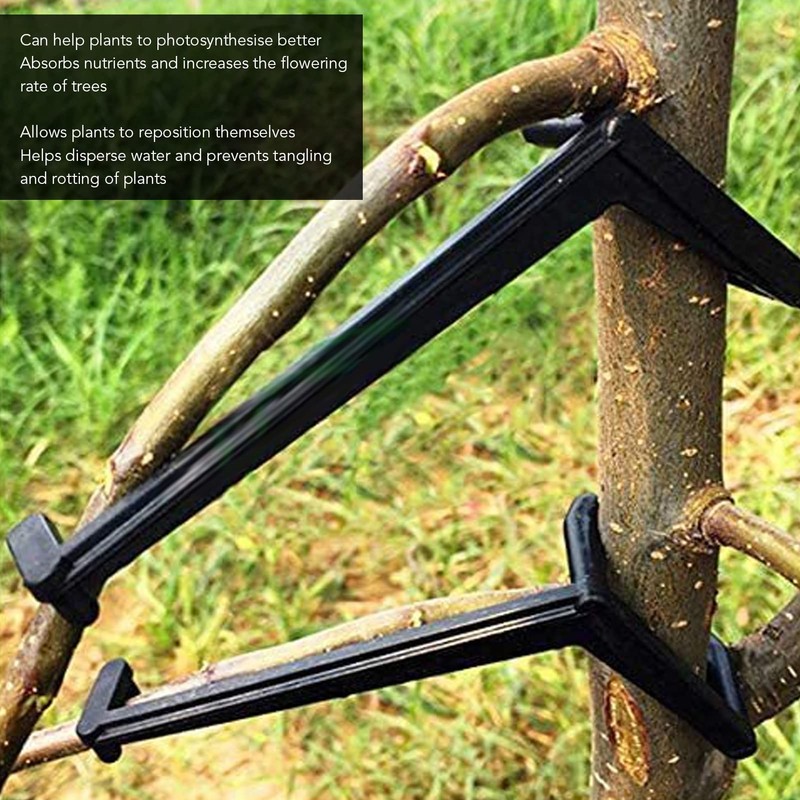 Alvinlite Pack of 20 Branch Separators for Fruit Trees, The