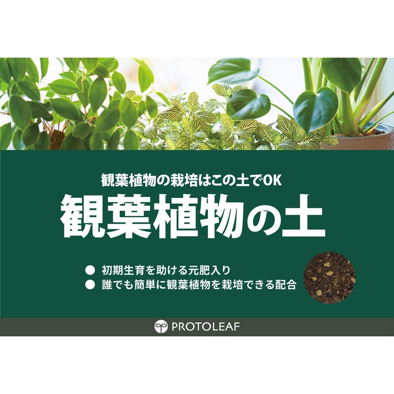 Protleaf, Ornamental Plant Soil, 0.6 gal (2 L)
