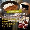 Nakamura Tonkotsu Base Delicious Curry Beef 7.1 oz (200 g)