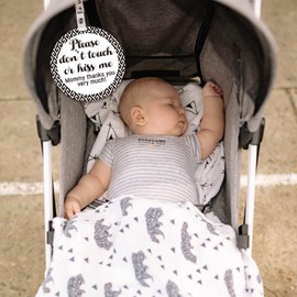 Do Not Touch Baby Signs, 2 Pack Baby Car Safety Signs Tags for Newborn Baby, Stop Touching Baby Car Seat Sign or Stroller Tag - No Touching Tag for Baby Car Accessories.