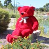Joyfay 78" Giant Teddy Bear Huge 6.5 feet Stuffed Teddy