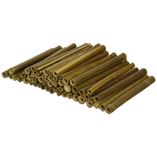 Wildlife World Solitary Bee Tubes Wooden (Pack of 50) BTW1