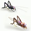 YAZHIDA Fly Fishing Flies, Simulated Insects, (Cricket)