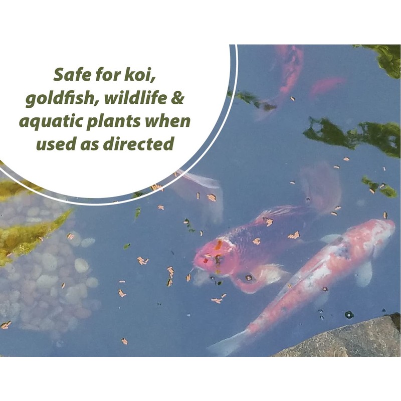 Bloom Buster Algae Control for Fish Ponds & Water Gardens
