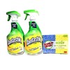 Fantastic All-Purpose Cleaner Kit with 4 Sponges – 2-Pack Multipurpose