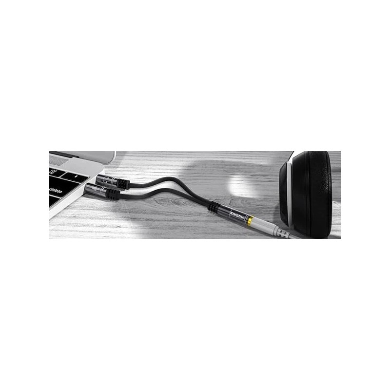 KINGTOP Headset Splitter Cable 3.5mm Female to 2 Male
