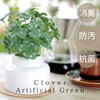 Kishima KH-61251 Artificial House Plants, Fake Green, Artificial Plants, Never