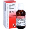 Glandulae M Gastreu R 19 oral drops