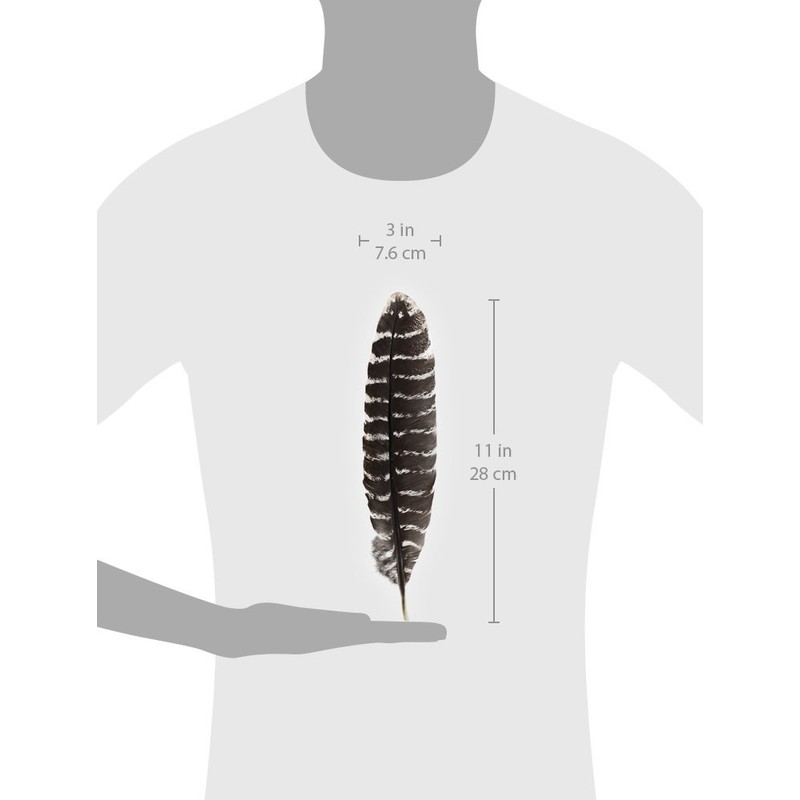 Incense Garden Grade A Barred Turkey Smudging Feather (no Stains,