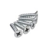 Hinge Outlet Satin Chrome Hinge Screws 12 X 1 Inch