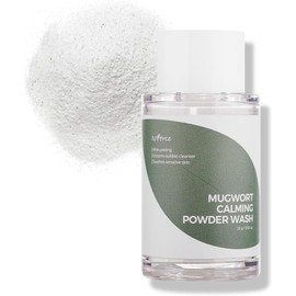 ISNTREE Limpiador Facial en Polvo Spot Saver Mugwort Powder Wash - Coreano con Artemisa Mugwort, Exfoliación Suave y Poros, 15 g