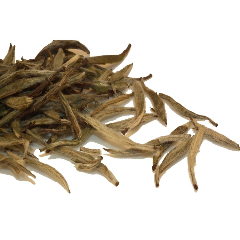 Speciality Tea Taster Sample Loose Leaf 7 Pack Bags by