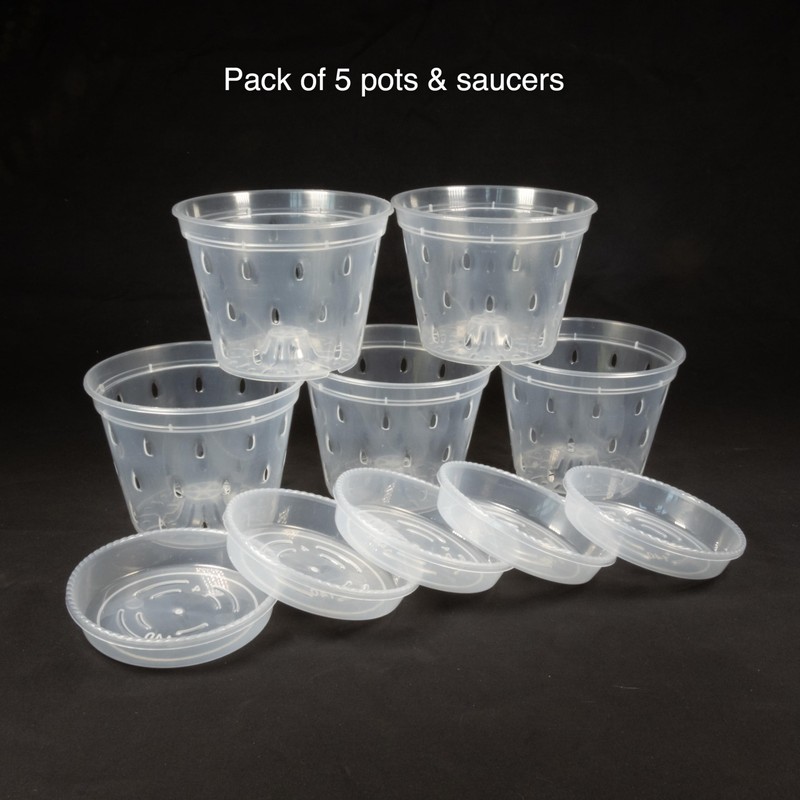 Greenology 16cm / 6" Pack of 5 Orchid Flower Pots
