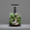 LANDEN Miniature Terrarium Glass Jar Kit – Complete DIY Mini
