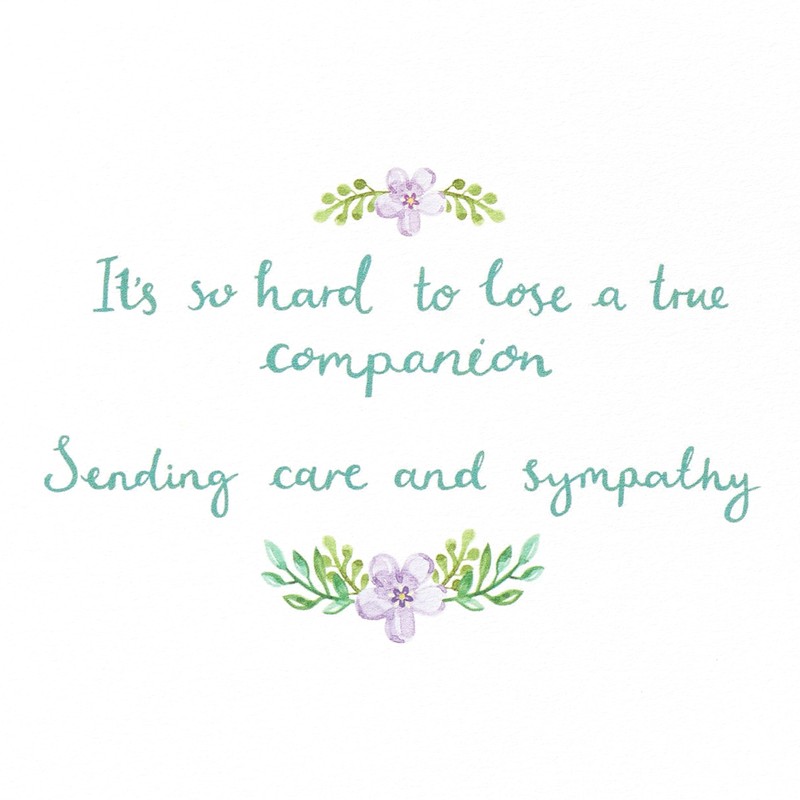 Papyrus Pet Sympathy Card (A True Companion)