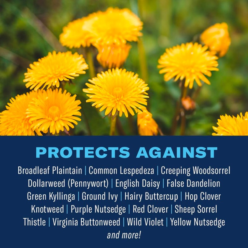 BioAdvanced 3-In-1 Weed & Feed for Southern Lawns, 20 LB