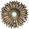 Waterwood Solid Brass Sunflower Doorbell in Antique Finish - Wired