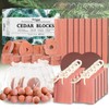 Cedar Blocks for Clothes Storage 67 Pack, Cedar Chips, Cedar