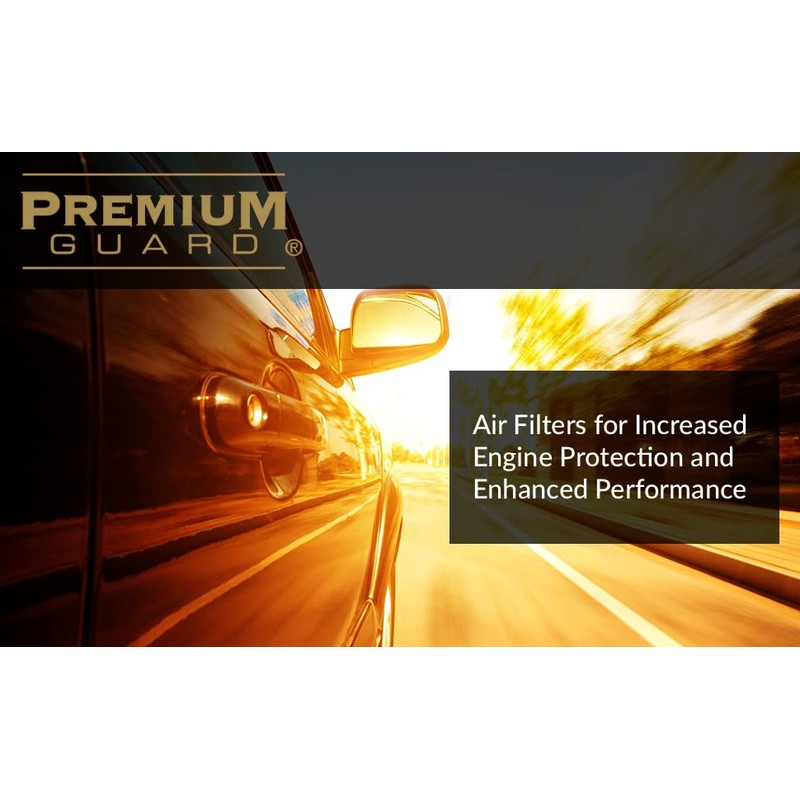 Filtro de aire de motor PG PA9941 | Compatible con