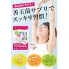 ドッサリズムS 酪酸菌 6億個 乳酸菌 17種類 善玉菌 サプリメント ラクトフェリン ビフィズス菌 フラクトオリゴ糖