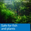 API pH UP Freshwater Aquarium Water pH Raising Solution 1.25-Ounce