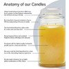 Village Candle Cranberry Bog, Large Glass Apothecary Jar, Scented Candle,