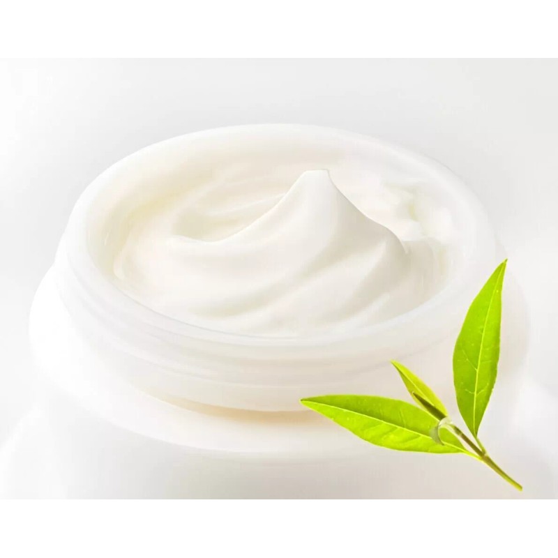 Sun Star Organics Pure & Natural MSM Lotion - Unscented