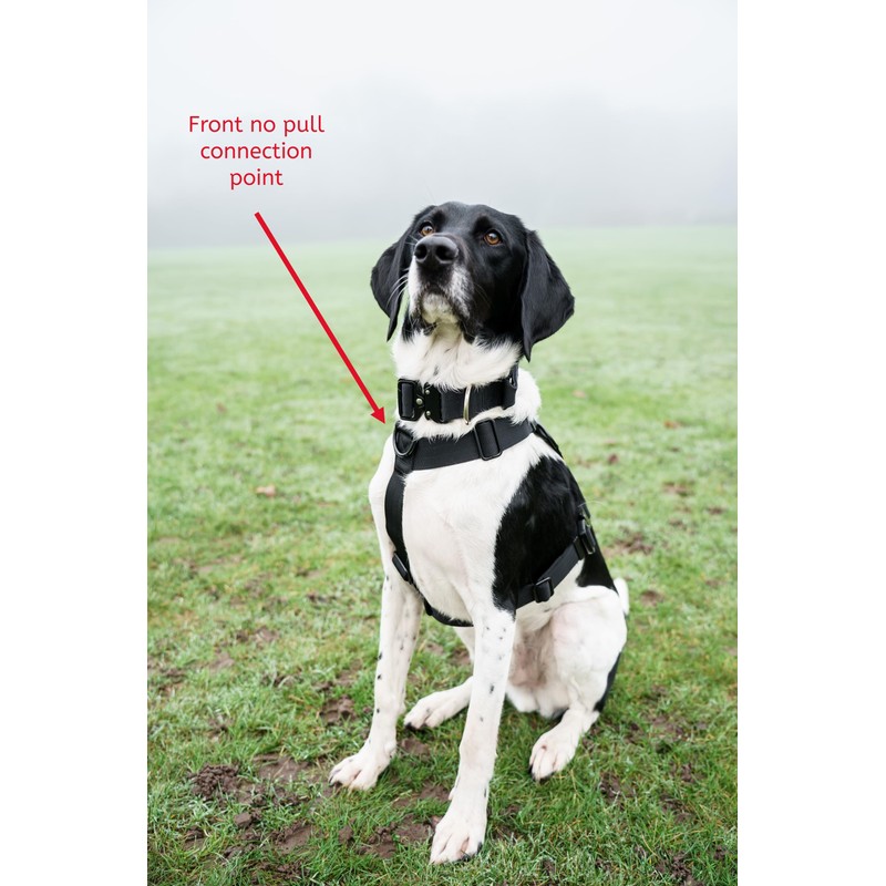 Brody The Dog heavy duty dog harness, for Medium and