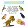 ZBJBinCH Bird Toys for Parakeets, Windmill Roller Parrot Toy, Parakeet