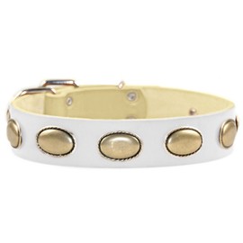 Dean & Tyler "Retro Rulz Leather Dog Collar with Brass Oval Hardware, 38 by 1-1/2-Inch, Fits Neck 36 to 40-Inch, White
