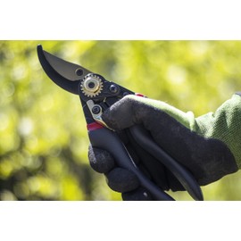 Meister Secateurs with Bypass Blade - Titanium Alloy & Non-Stick Coating - Suitable for Soft Wood & Fresh Wood - For Precise Cuts / Rose Shears / Bypass Scissors / 9719010