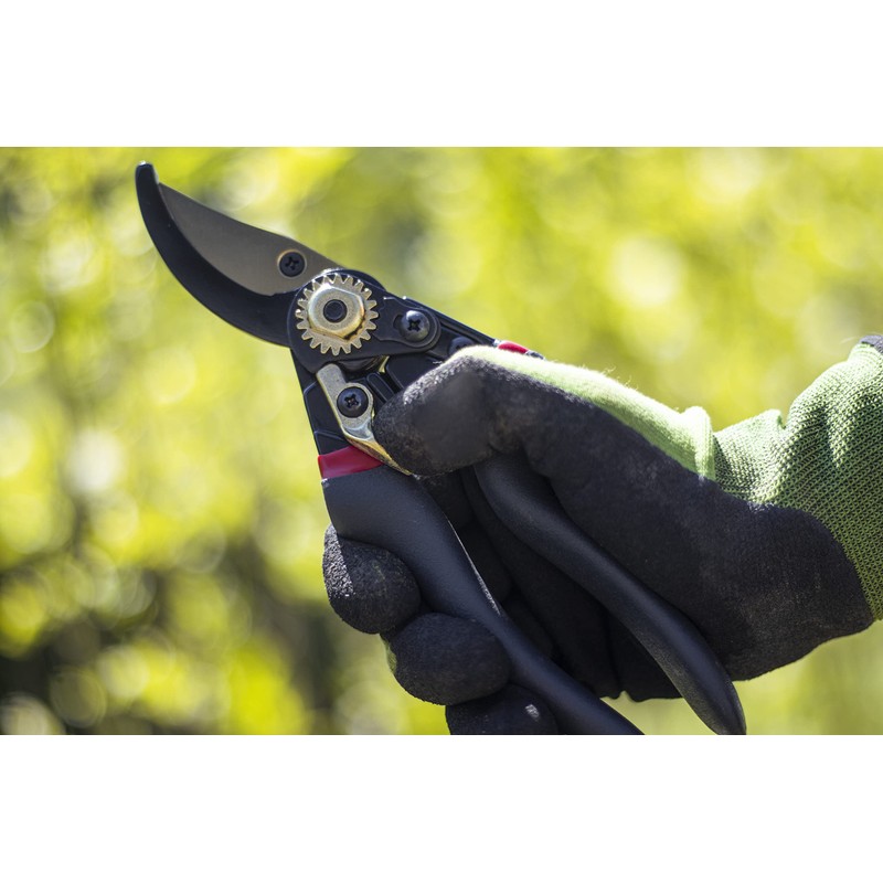Meister Secateurs with Bypass Blade - Titanium Alloy & Non-Stick