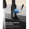FORIOUS LED Kitchen Faucet with Pull Down Sprayer, Black Single