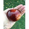 G.I.I Natural Red and Orange Carnelian Agate, Puffy Heart, Healing