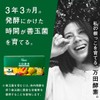万田酵素 GINGER & STANDARD 粒 約2ヶ月分