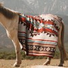 Aztec Throw Blanket with Soft Sherpa Lining, Traditional Southwestern Navajo