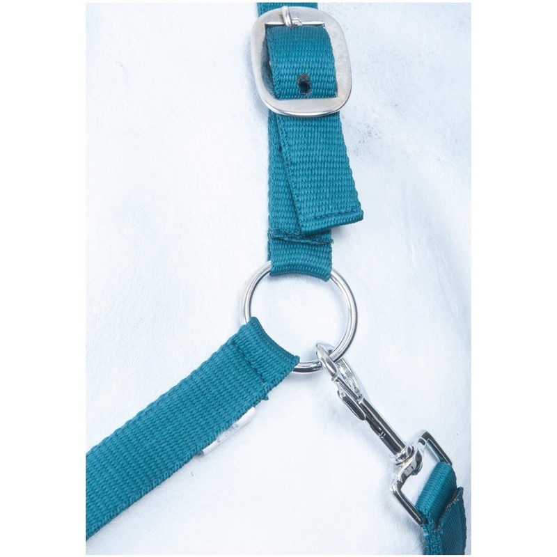 HKM by Reiterladen24 Basic Line Headcollar Petrol Shetty
