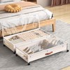 Eastherry Under Bed Storage with Wheels, XXXL Larger Under Bed