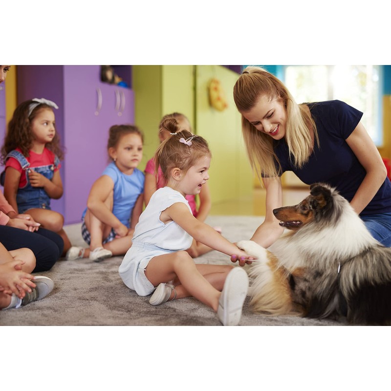 Vet's Advantage Ashwagandha Calmer For Dogs - Pure Herbal Support