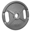 POWER EXTREME Cast Iron Weight Plates with 2 Grip Holes,