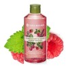 Maxi Gel de Ducha Corporal (FRAMBUESA Y HIERBABUENA)