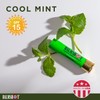BALMSHOT Lip Balm 4 Pack (Cool Mint)