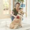 Franklin Sports Pet Supply Co. - SHED-MASTER- Dog Grooming Brush