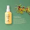 Wild Ferns Manuka Honey Purifying Toner, 93% Natural, 140 milliliters