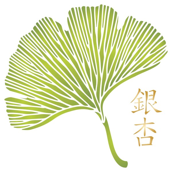 Gingko Leaf Stencil, 10 x10 inch (M) - Leaves Asian