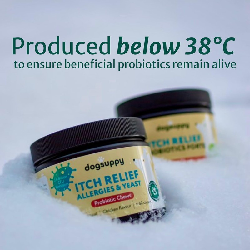 DogSuppy DogSuppy Itch Relief Probiotics For Dogs - Stop Itching,